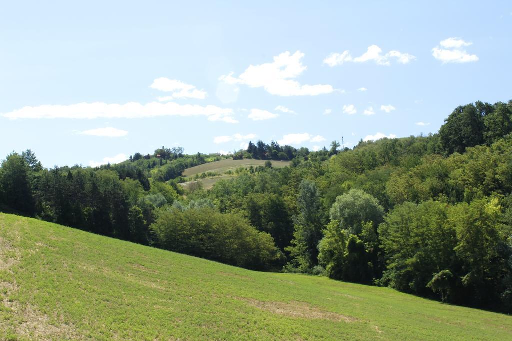 Agriturismo Casa Garello ซาลิเช แตร์เม ภายนอก รูปภาพ