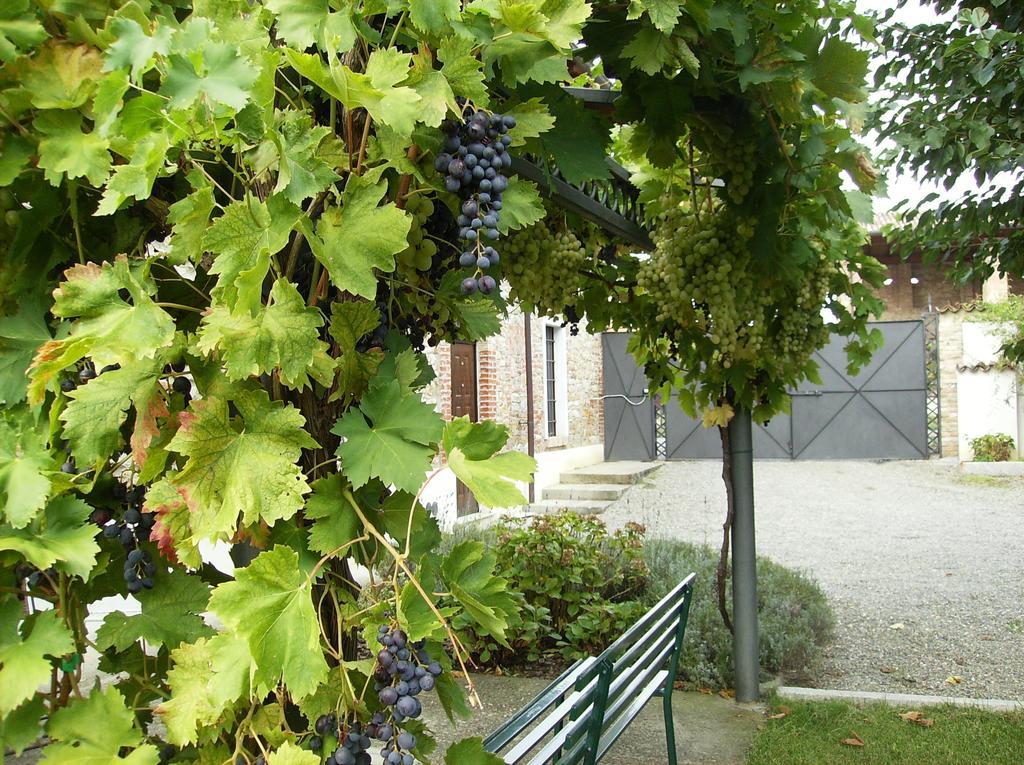 Agriturismo Casa Garello ซาลิเช แตร์เม ภายนอก รูปภาพ